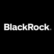 Advising Blackrock on Funds Regulation